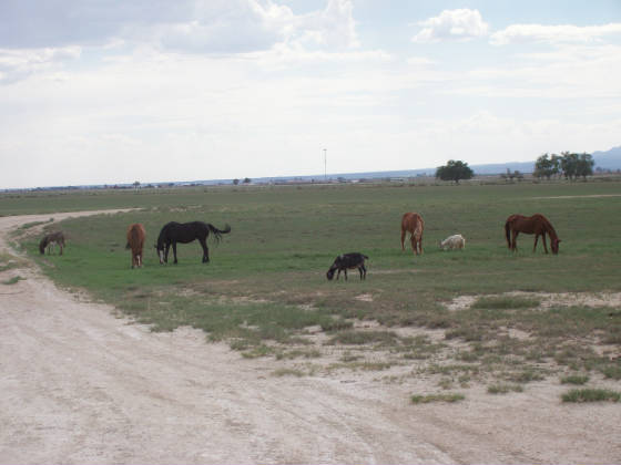 000_0438.JPG