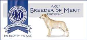 LabradorRetriever_BoM_Banner.jpg