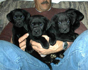 SOMEOFTHEBOYS.jpg