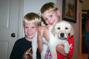 picturesforthewebsite.jpg